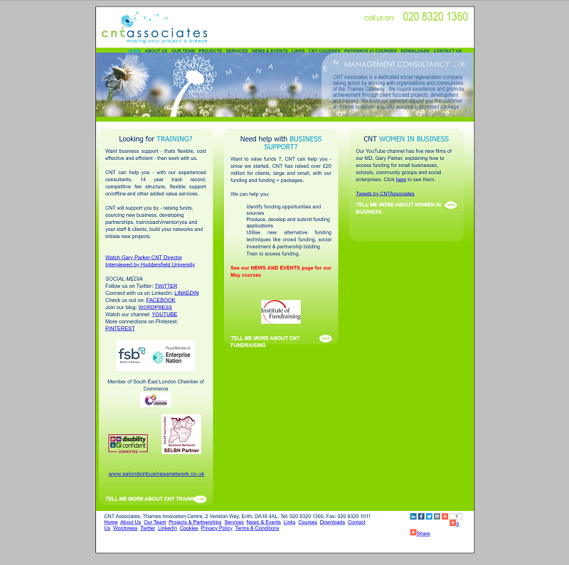 CNT Associates homepage - before